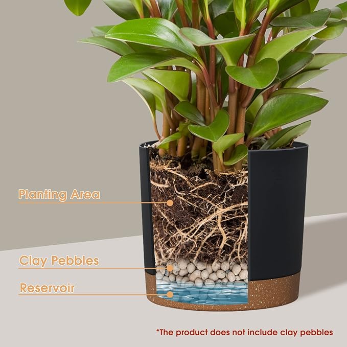 kubvici Plant Pots for Indoor Plants, 2 Pack 10 Inch Plant Pot Plastic Flower Pots Planters with Drainage Saucer for Indoor Outdoor Garden Home (10" Black)