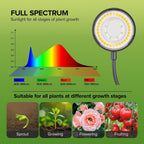 Desktop Plant Grow Light,12w Growing Lamps High Ppfd,Full Spectrum Desk Growth Light with Automatic Timer,4 Dimmable Levels（Black）