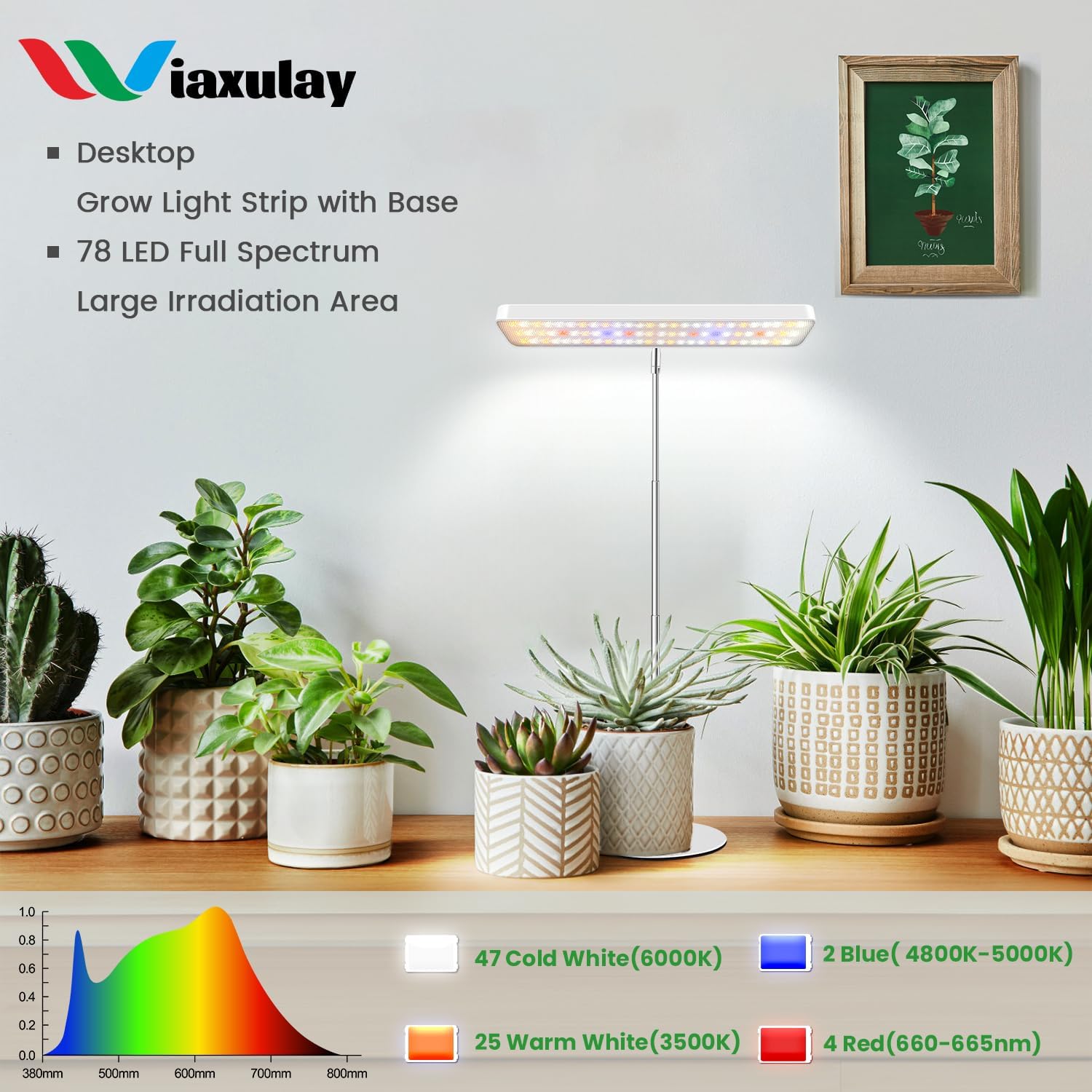 Wiaxulay Grow Light, 11in Full Spectrum Desk Plant Light for Indoor Growing | 78LEDs Grow Lamp with Auto Timer 6/12/16 Hrs, 3 Lighting Modes, 5 Dimmable Levels, Height Adjustable 7.8"-26" for Seedling