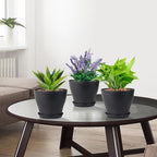 6 inch Plastic Nursery Pots, 16 Pack Plant Pots for Small Indoor Outdoor Plants, Flower Pots with Drainage Holes and Saucers, Decorative Seedling Starter Planters for House Plants, Black