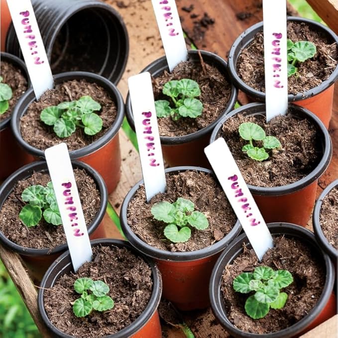 Plant Nursery Pot/Pots 100 Pcs 4" Plastic Small Plants Pots Flower Pots Seed Starting Pots for Plants Indoor Outdoor Seedling pots (with 100 Plant Labels)