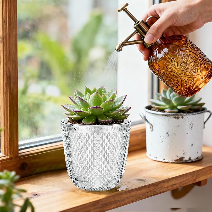 QCQHDU 2 Pack Self Watering Pots, 7.2 Inch Flower Pots with Drainage Holes and Water Filling Port, Garden Planter for Indoor Outdoor Plants (Clear)