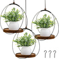 threehoney 3 pack 7.9'' hanging planter for indoor, main product view