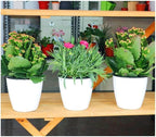 6 Pcs 3.5“ Self Watering Planter White Flower Pot, Flowers Plants, Small Mini Planter Pot, for All Plants, Herbs, African Violets, Succulents