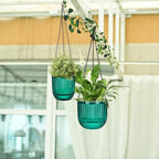 Maxcheck 4 Pcs Self Watering Hanging Planters Indoor Gift 6.5'' 4.5'' Hanging Flower Pots Baskets Outdoor Self Watering Plant with 3hooks Drainage Holes for Home(Emerald)