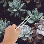 4pcs Gardening Tools Planting Tweezers Succulent Tool Kit Weed Puller for Garden