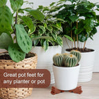 Kigeli 12 Pcs Resin Pot Feet for Outdoor Planters 3 Inch Long 1.5 Inch Tall Flower Handmade Elevator Plant Feet Frost Proof Lifter for 14-20 in Pot(Brown)