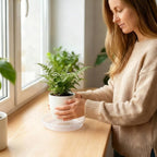 20 Pack Clear Plant Saucer 4.5 Inches Plastic Drip Trays to Catch Water | Round plastic flower pot saucers for indoors and outdoors catch drainage water to protect floors, shelves, decks and patios.