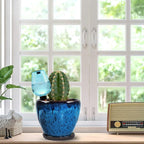 Ceramic Pots for Plant with Self Watering Globes, 8 inch Planters for Indoor Plants with Saucer, Glaze Flower Pots Outdoor with Drainage Holes, Decorative Garden Pots