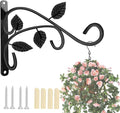 Axgo Wall Mount Hanging Plant Hook, Rust-Resistant Metal Plant Hanger for Flowers, Lanterns, Bird Feeders, Wind Chimes