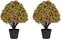 24" artificial boxwood fall topiary trees, faux plants, main product view