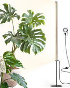 Barrina T1S Vertical Grow Light, 65W Full Spectrum, 5FT-5.6FT Height, Black | Mechanical Timer, High PPFD Grow Lights for Indoor Plants, Standing Side Lighting to Stand, Tall Plants, Foot Switch, Black