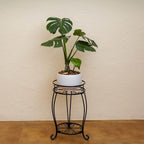 FaithLand Plant Stand, Heavy Duty Metal Planter Holder Indoor Outdoor, 2 Tier Round Potted Supports Rack, Corner Display Shelf Black