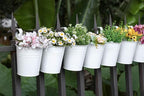 Dahey 10 Pcs Hanging Flower Pots Metal Iron Bucket Planter for Railing Fence Balcony Garden Home Decoration Flower Holders with Detachable Hooks, White, 5 inches