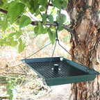 Zenport Z203009 2-in-1 Platform Bird Feeder, Green - 3 Pack