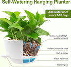 WOUSIWER Self Watering Hanging Planters, 2 Pack 10'' Plastic Pots with Drainage Holes & Reservoir Tray (White) | Indoor & Outdoor Use for Ferns, Ivy, Herbs, Succulents