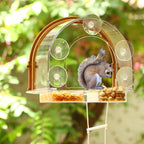 Window Squirrel Feeder, Large Squirrel Feeder for Outside,Funny Squirrel House with 5 Suction Cups，Plastic Squirrel Feeder which Easy to Install,No Assembly Required