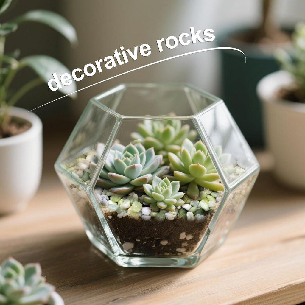 2.5lb Small Pebbles for Indoor Plants, 3/8 Inch Decorative Jade Rocks | Natural Polished Stones for Lucky Bamboo, Plants Pot, Succulent, Vase, Cactus, Landscaping