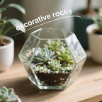 2.5lb Small Pebbles for Indoor Plants, 3/8 Inch Decorative Jade Rocks | Natural Polished Stones for Lucky Bamboo, Plants Pot, Succulent, Vase, Cactus, Landscaping