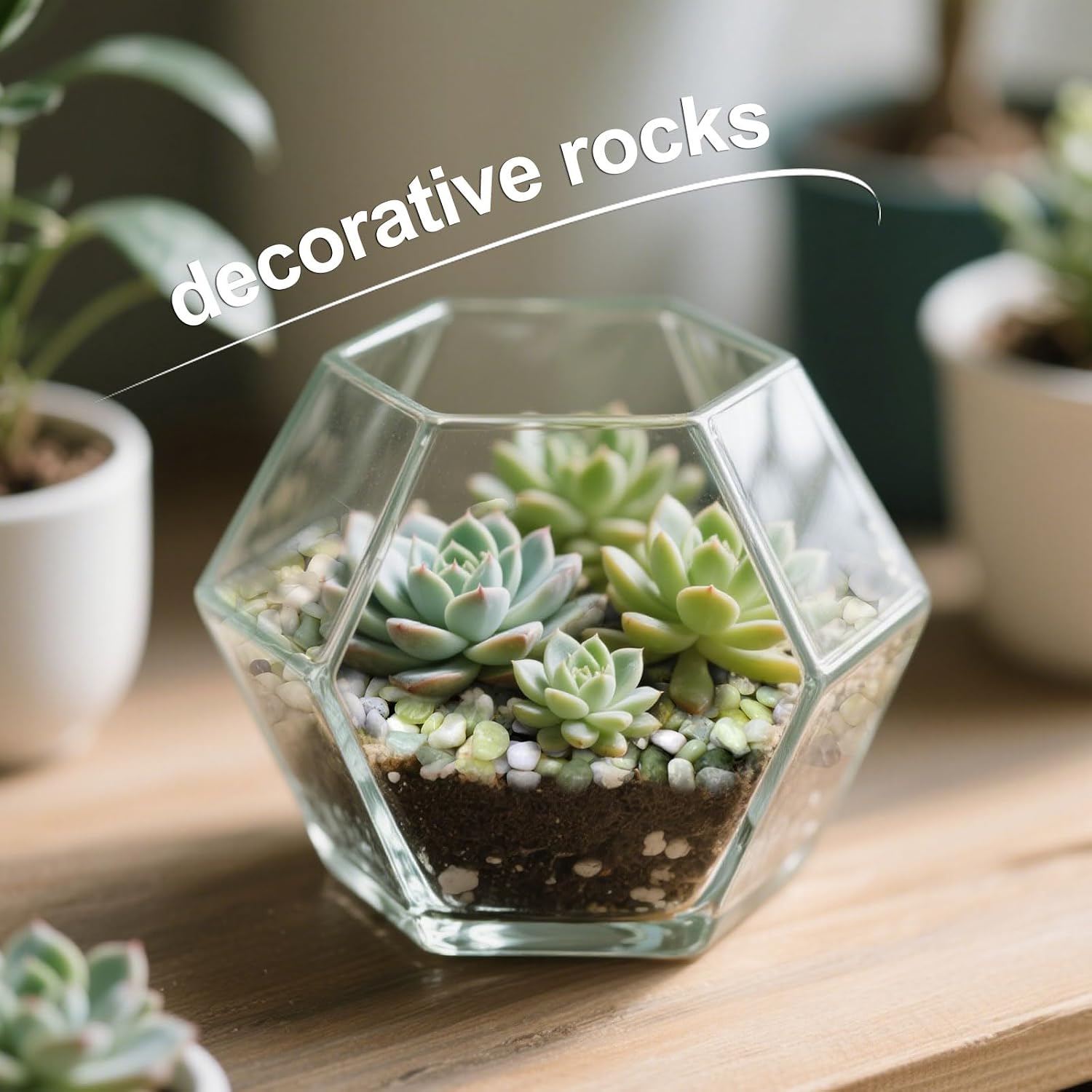 2.5lb Small Pebbles for Indoor Plants, 3/8 Inch Decorative Jade Rocks | Natural Polished Stones for Lucky Bamboo, Plants Pot, Succulent, Vase, Cactus, Landscaping