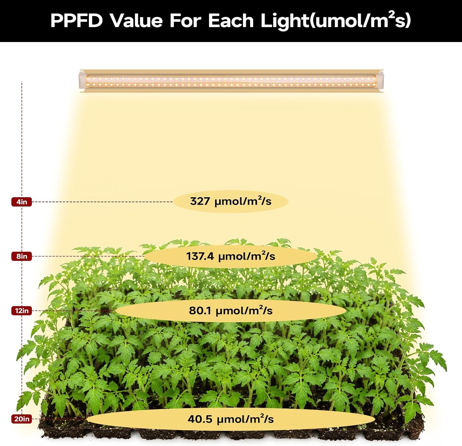 Grow Light for Plants, T8, 2FT, 24W, Full Spectrum, 8 Pack, Linkable | Indoor Grow Light with Reflector, 8x24W High PPFD, Full Spectrum Plant Light, Linkable, Aluminum for Seedlings & Houseplants