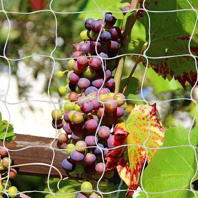Tcamp Heavy-Duty Polyester Garden Trellis Net Plant Support Netting for Climbing Plants Outdoor, Flexible String Net for Bean Pea, White Grow Tent (5Ft x 30Ft, 3.5" Opening Mesh, 1 Pack)