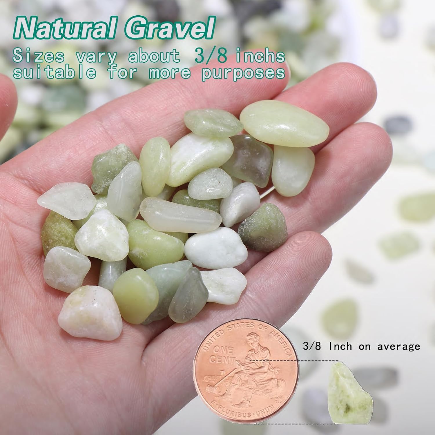 2.5lb Small Pebbles for Indoor Plants, 3/8 Inch Decorative Jade Rocks | Natural Polished Stones for Lucky Bamboo, Plants Pot, Succulent, Vase, Cactus, Landscaping