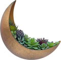 Moon Wall Planter - Hanging Moon Decor Perfect for Boho, Hippie, and Witchy Gifts for Women - Wall Planters for Indoor Plants and Outdoor Plants