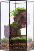 ncyp glass terrarium with front opening door for, main product view