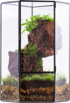 ncyp glass terrarium with front opening door for, main product view