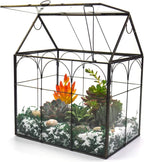 large tall plant greenhouse terrarium glass with lid, main product view