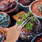 4pcs Gardening Tools Planting Tweezers Succulent Tool Kit Weed Puller for Garden