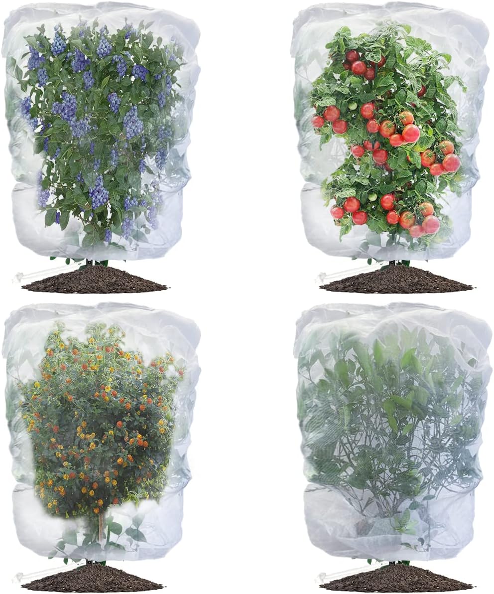 evoio 4 pcs garden plant fruit tree bird, main product view
