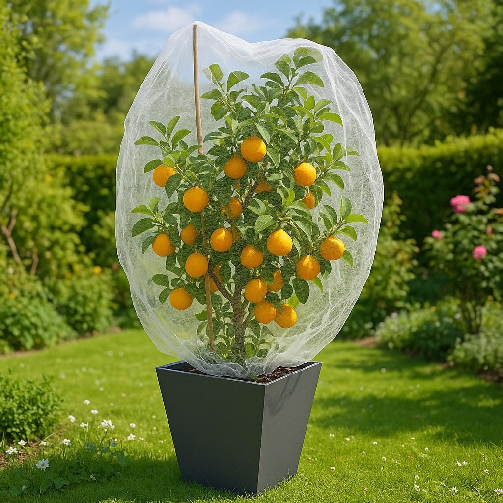 fruit tree protection bags 4x4.5 ft | pack, main product view