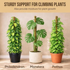 Moss Pole Monstera Plant Support – 48” Bendable Moss Pole Monstera Plant Support, Plant Stakes for Indoor Plants, Tall Plant Sticks Support for Climbing Plants