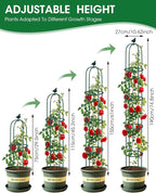 2PCS Garden Trellis for Climbing Plants, 6.2FT Rustproof Metal Pipe with Heavy Duty Plastic Coated, Garden Outdoor Indoor Potted Plant Support, Obelisk Garden Trellis for Climbing Vine (Green)