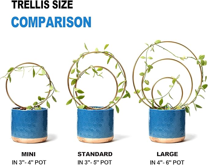 Hoya Trellis for Indoor Plants - Set of 3 Stylish Metal Plant Supports for Climbing Houseplants - Durable Design for Small Potted Plants with Increased Height Support