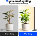 Barrina T10 Standing Grow Light for Indoor Plants, 20W 2FT, Full Spectrum | Desk LED Plant Light, Hanging and Standing Mount, Table Top Vertical Grow Lights with On/Off Switch, Ideal for Plants Growth