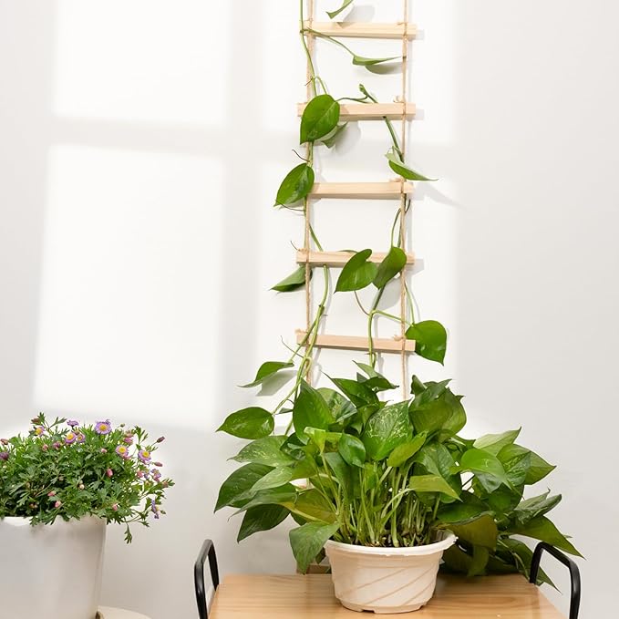 2PCS Chain Trellis for Climbing Plants - Natural Wood Indoor Plant Support, Durable 6.5 Inch by 4 Feet Design, Perfect for Pothos, Ivy, and Vines with Easy Installation Hook