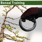 Bonsai Training Wire Set of 4, Total 128 Feet (32 Feet Each Size) | 3 Size - 1.0MM, 1.5MM, 2.0MM, Corrosion and Rust Resistant (with Bonsai Wire Cutter)