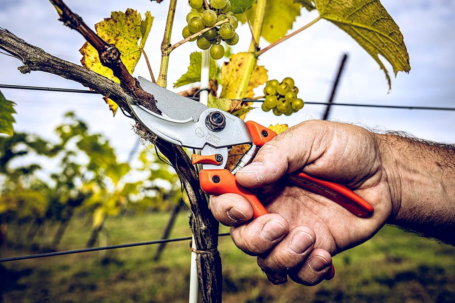 Original LÖWE 9 Bypass Pruning Shears 9.104 with Adjustable Grip Width - Sharp Carbon Steel Blades with Non-Stick Coating Ideal for Cutting Plants, Roses, and Cut Flowers