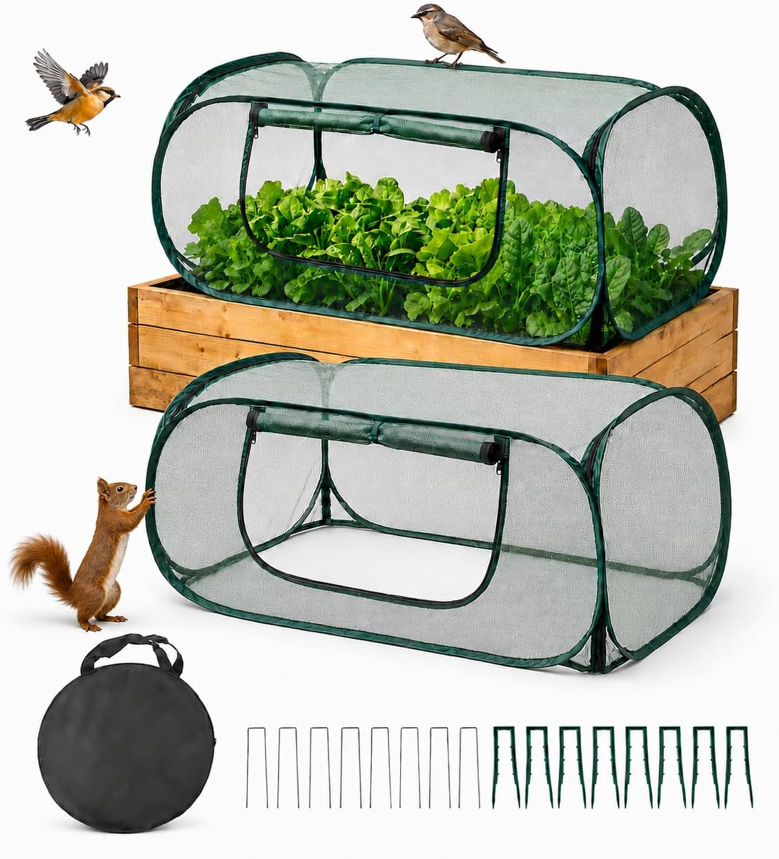 pop-up mesh plant enclosure, plant cover for vegetables, main product view