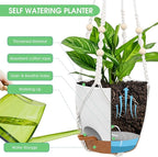 Hanging Planters for Indoor Outdoor Plants, 2 Pack Self Watering Hanging Pots, Hanging Plant Baskets with Drainage Holes & 2 Types of Plant Hangers (White, 6'')