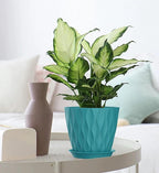 4/4.5/5/5.5/6/6.5/7 Inch Plant Pots,7 Pack Flower Pots with Drainage Holes and Trays,Plastic Planters for Indoor Outdoor Plants Growth,Green