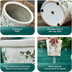 Ceramic Planter with Drainage Hole, Plastic Tray & Mesh, 6 Inch - Indoor/Outdoor Flower Pot for Orchids, Succulents, Green Floral Modern Farmhouse Décor for Home,Office and Garden, Ideal Gift