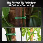 VIVOSUN Twist Ties, 328 ft (100m) PE-Coated Green Plant Ties with Cutter, Reusable & Flexible Tomate Ties for Plant Support, Indoor Outdoor Gardening, Cable Management, Home Office Organization