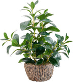 alphaacc fake indoor ficus plant in rattan basket, main product view
