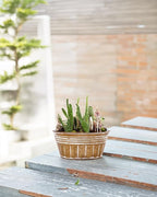vensovo 10 Inches Brown Metal Rustic Plant Pots - 4 Pcs Large Shallow Galvanized Planters with Drain Hole and Rubber Plug, Rustproof Tin Bucket Succulent Pot Indoor Farmhouse Vintage Style for Decor