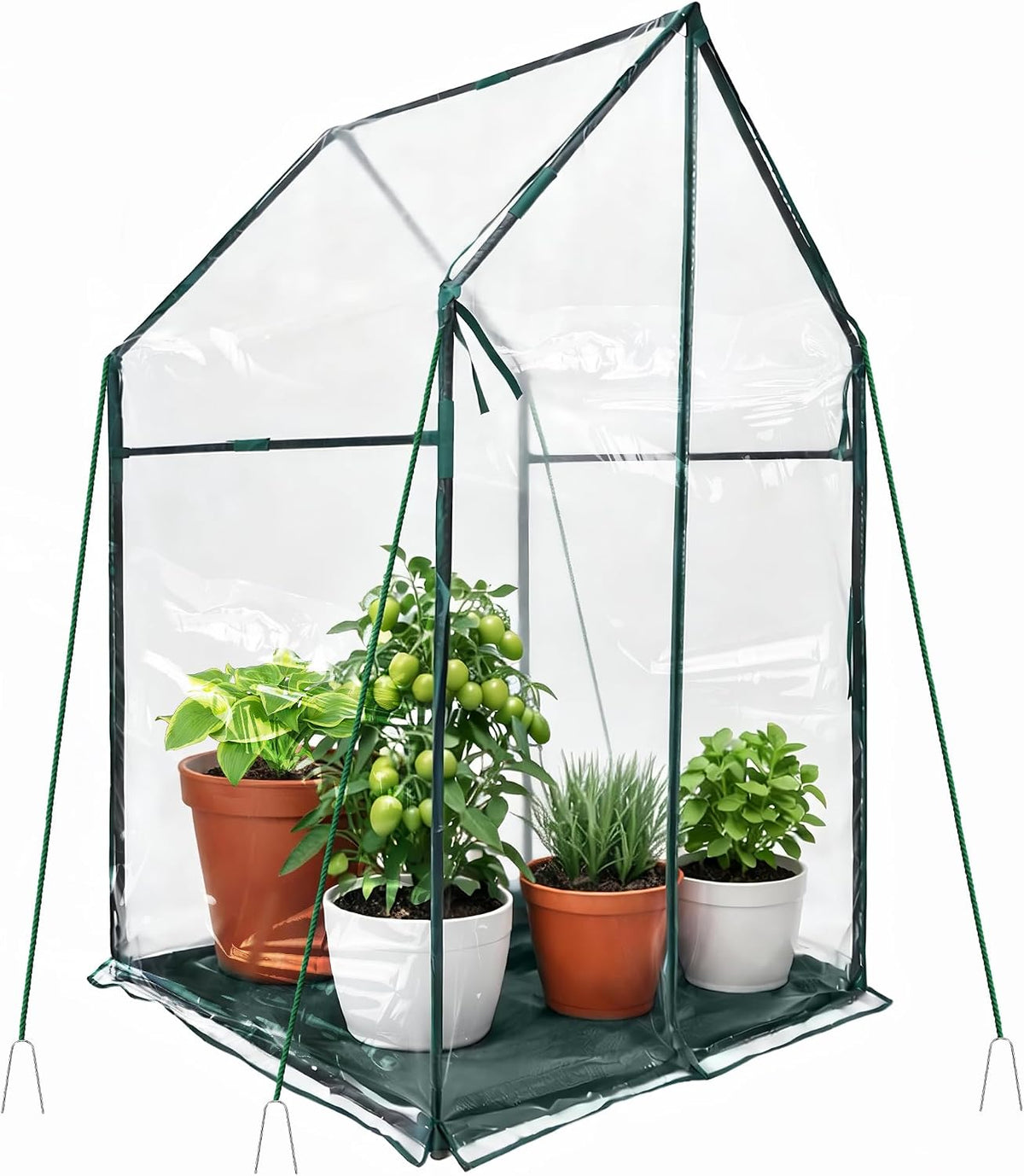 proworx mini greenhouse 36"x36"x58.5" plant cover tent seed, main product view