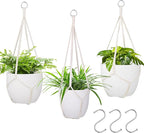 garini 3 Pack Different Size Macrame Plant Hanger,Hanging Plants Holder with 3 Hooks for Boho Home Decor(POTS NOT Included)